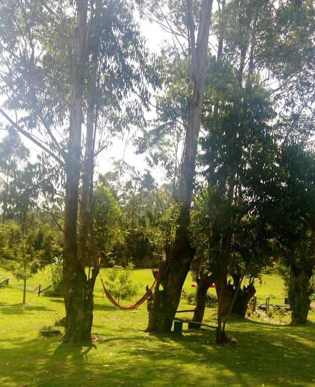 Kalitusi Nature Resort Fort Portal Ngoại thất bức ảnh