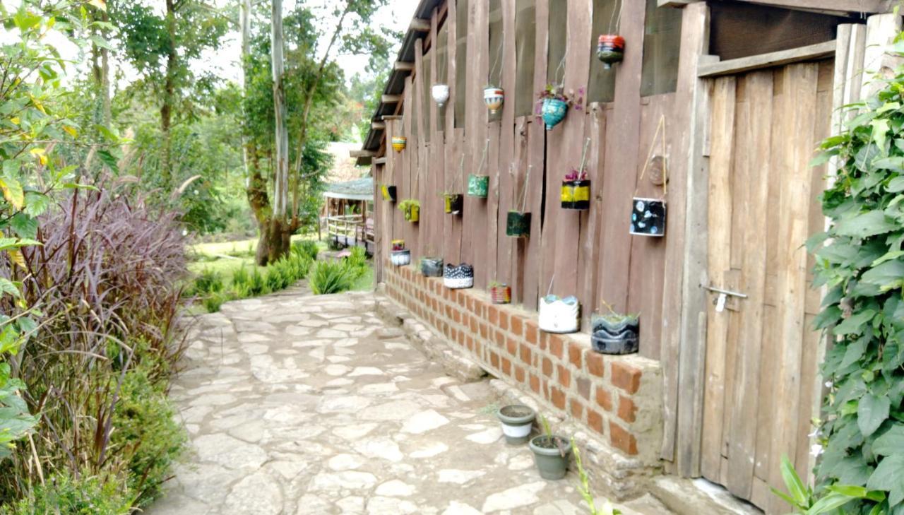 Kalitusi Nature Resort Fort Portal Ngoại thất bức ảnh