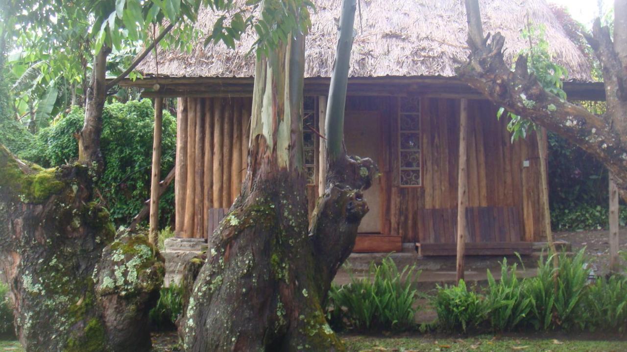 Kalitusi Nature Resort Fort Portal Ngoại thất bức ảnh